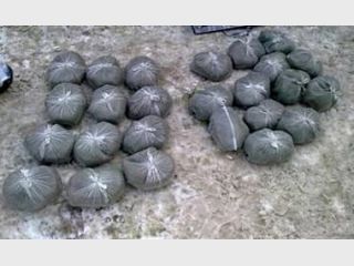 � ���� ���� ���������� 351 ���� �� ������� ���������� � ������