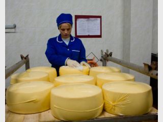 ���� ���������� ���������