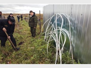 ������ �������� ������������ ������ ��������� ����������� ������������ �� ������