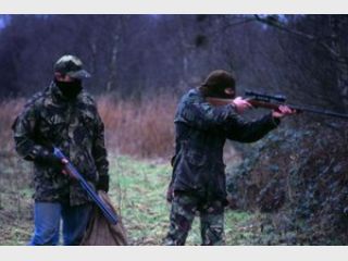 � ������ ���� ����� ������� 1310 ���������-�����������