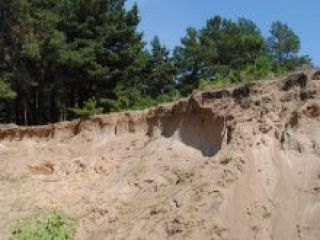 ���� ������������ ���������� � ������������ � ����������� �������