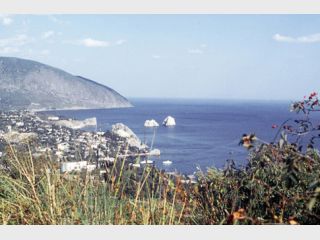 ��������������� ������ ������ ���� ������� �������