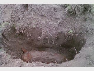 � ��������� ������� ���������� 100-������������� �������� �����