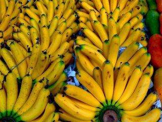 � �������� ������������ ��������� ������ � ��������