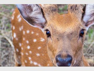 � �������� �������� &mdash; ��������� ������