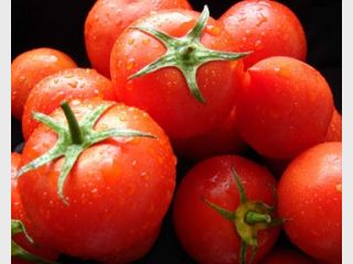 � ������� �������� ������ ���������� ��������� ��������