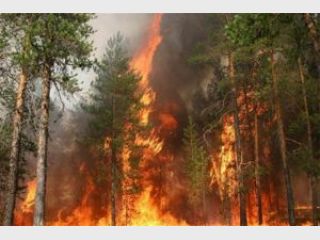 � ��������� ����������� �������� �����