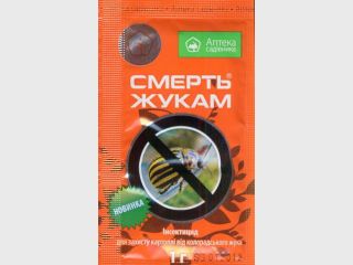 �������� � �������� �������� ����������� ��