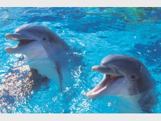 �������� ������ ��������� � �����: ���������� �������� �� ������ � ��������, � ����� �����������