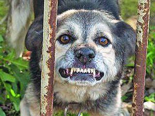 � ����� ������ �������� ���������� �������