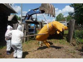 � ���������� ������� ����������� ������ ��������� ����