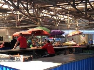 ��������������� ������������� ����� �������� 