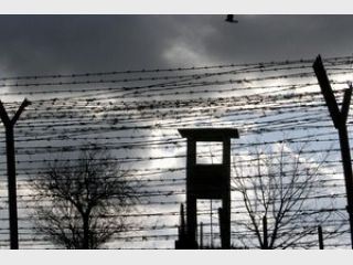 �� ��������� ������� ����������� �� 8 ��� ����, ���������� �� �������