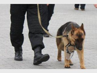 ����� � ����������� ��� �� �����