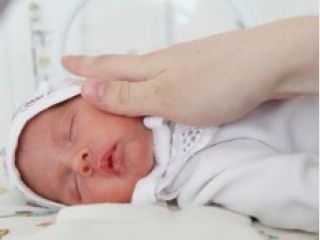 ������� ��� �������� ������� �� ����� ���� ��������� �� 28 �����