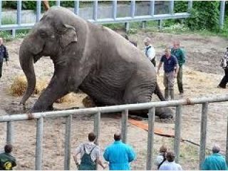 � �������� ������� �������� ��������� ������ &mdash; ���������� �����