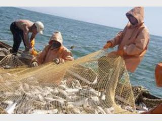 ��������� ������� � �������� ���� ���� �� 380 ���. ���