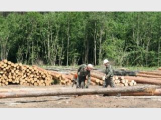 ��������� ���������� ����������� �� 400 ��� ���