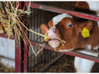 ����������� ����� �� 