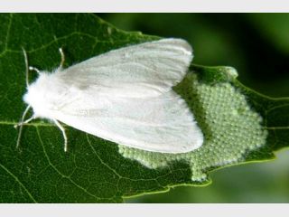 �������� � �����: ������������ ������� ���������� �������
