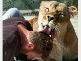 ������� ������ ��� �� ��� � �������� �������� ������� ��������� �� 5 ���