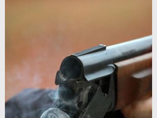 ������ ���-�������� ���������� ����� ����� � �����