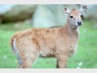 �������� �������� &mdash; �� ������� ��������: � ��� ��� ������ �����, ���� �� ��������