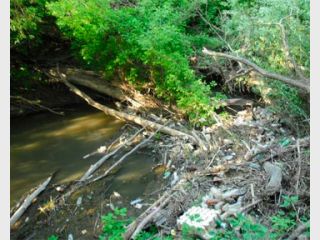 �� ���������� � ���� ������ ���������