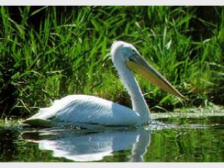 � �������� ������� �� ���� ���� ���� ���������� ������������ � ������� ������� �������� ���������