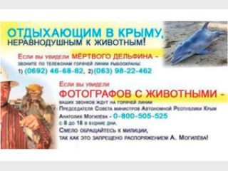 �� �������� ��������-���������� ����� ���������� ����� ��������