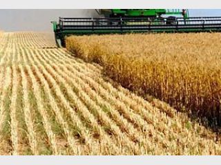 ������ ����� ������� ������ �� 40 ��� ����, &mdash; ������