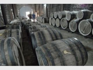 ���� ���������� ��������� ��������� �� 300 ���. ���