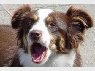 ��� ��������� ������� ����� � 22.00 �� 8.00