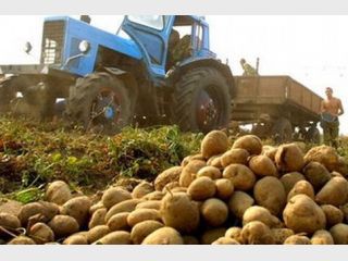 � ������� ������ ������ ���������