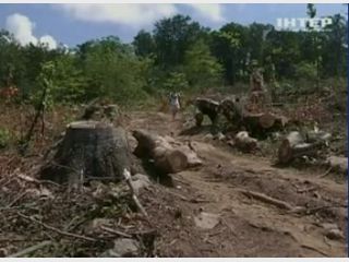 �� ���������� �������� ��� � ���������� ���� (�����)