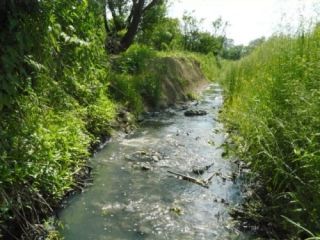 ������������ ���������� ���������� ����� �������� ���� � ���������