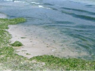 � ������ ������ �������� ������ ���� 