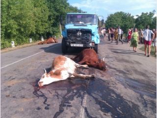 ���������, ���� ����� ������� ��������, ���������� ���������� � ���������