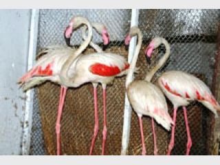 �������� �������: ������������� �������� ������� � ����� ������ ����