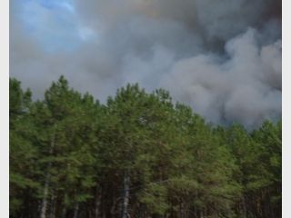 ������ �������, ��� ����� � ���������� ������� �����������