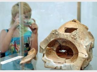 ������ ��� ������?