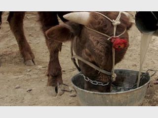 � ������� ����� ����� ��������� ����