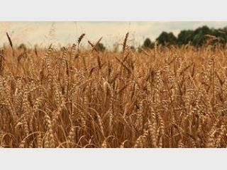 ��������� ������� ����� ������ �������� 20 ���� ��� �������