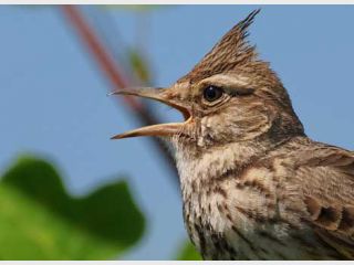 � ������� ��-�� ����������� � ������ ����� ������� ������ ��������� 