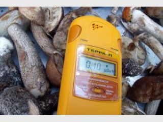 �������� ����� �� ��������� � ���� 130 �� 