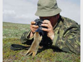 ����������� ������� ������, ��� ���� �������� �������������