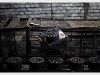 � ��������� ������� ������� ��������� ����� ������������� &mdash; ��������