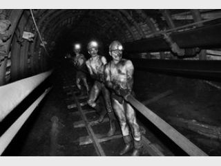 ������� ������ ����������� �������� � 20 ��� ������, ��� ����������