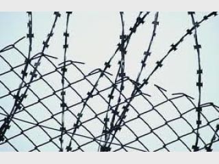 ������� ������ �������� ���������-2012