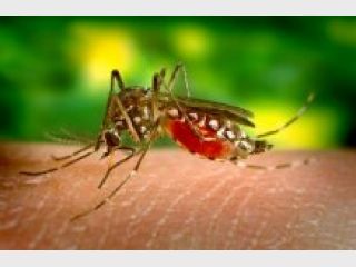 ��������� ������ ������������ ������ � �������� ���������� �����